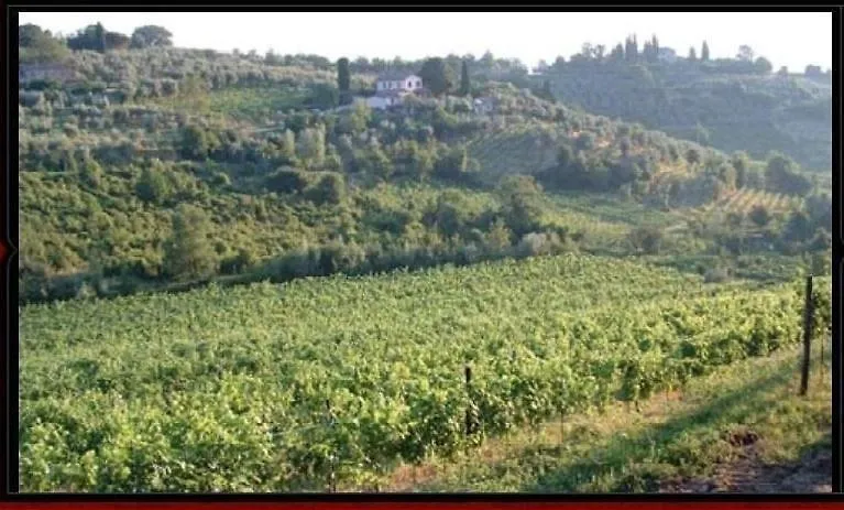 Hotel Massarelli Chianciano Terme Ιταλία
