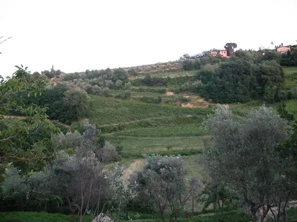 Hotel Massarelli Chianciano Terme Ιταλία