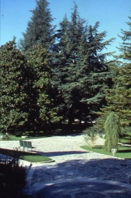 Hotel Massarelli Chianciano Terme