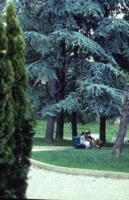 ***  Hotel Massarelli Chianciano Terme Ιταλία
